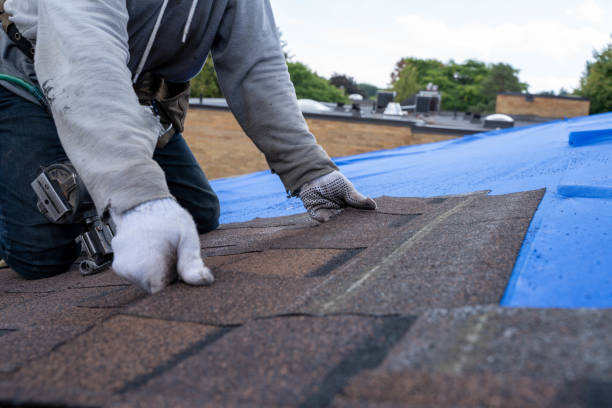 Quick and Trustworthy Emergency Roof Repair Services in Sugar Land, TX